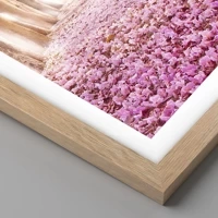 Rovere chiaro