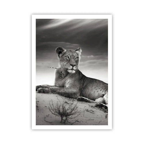 Poster - Il riposo della regina del deserto - 70x100 cm