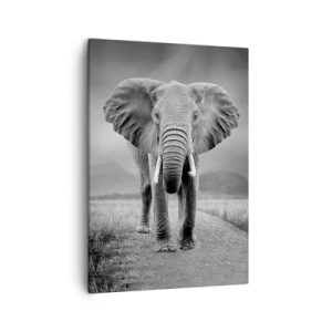 Quadro su tela - Stampe su Tela - Un possente elefante nella savana in toni monocromatici - 50x70cm - Il padrone di casa dà il benvenuto - Decorazione murale moderna per soggiorno e camera da letto ARTTOR