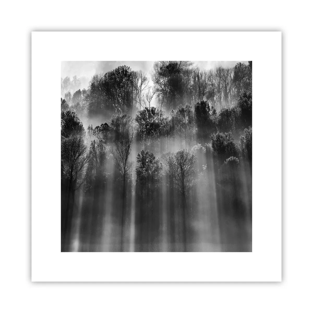 Poster - Nei getti di luce - 30x30 cm