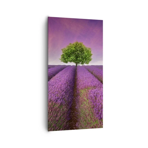 Quadro su tela - Stampe su Tela - Sui campi di lavanda - 65x120 cm