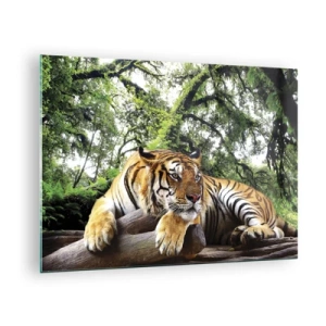 Quadro su vetro - Una tigre che riposa in una verde foresta tropicale - 70x50cm - Con espressioni di stima - Decorazione murale moderna per soggiorno e camera da letto ARTTOR