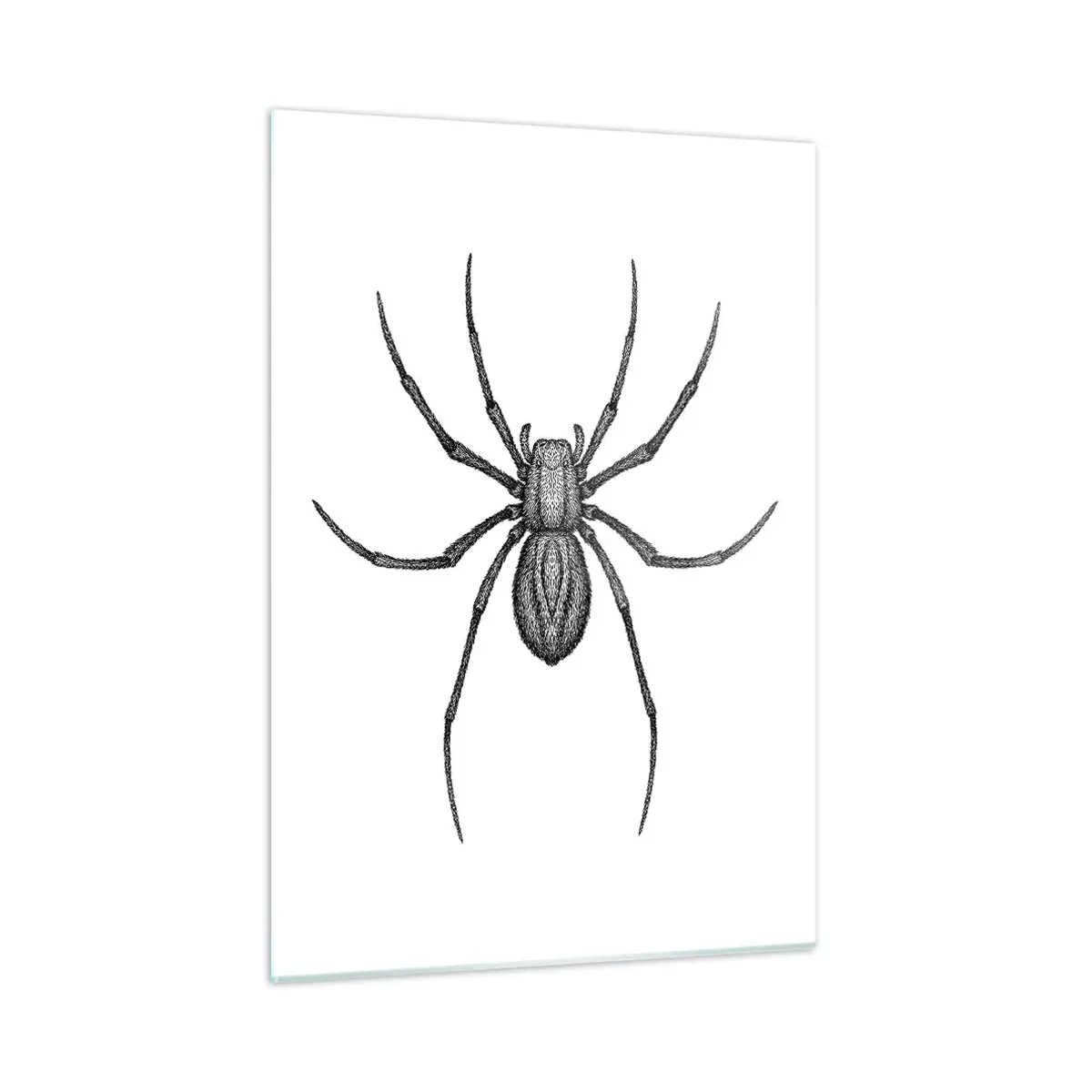Quadro su vetro - Illustrazione in stile retrò di un ragno nero su sfondo bianco - 50x70cm - Precisione inquietante - Decorazione murale moderna per soggiorno e camera da letto ARTTOR