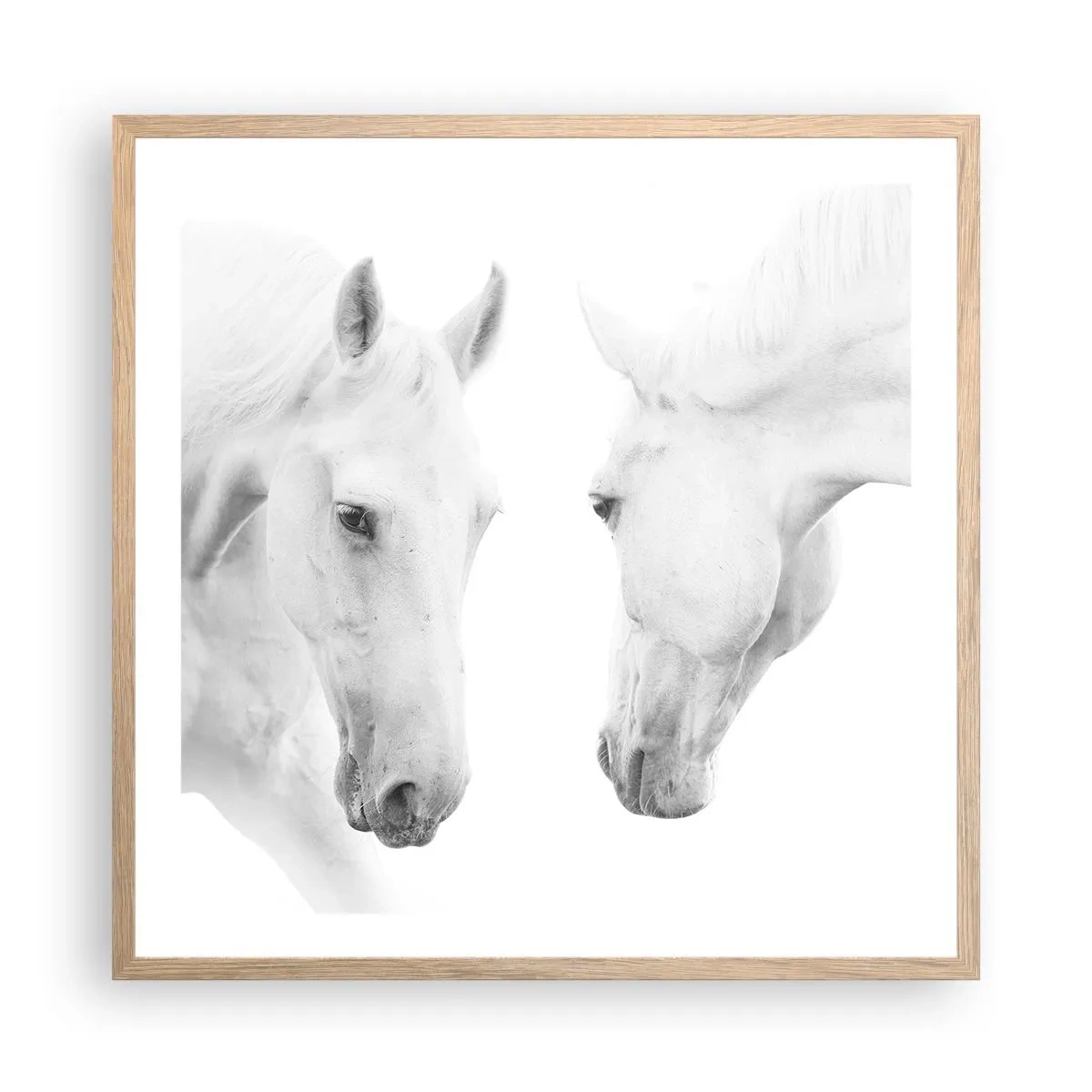 Poster in cornice rovere chiaro - È amicizia? - 60x60 cm