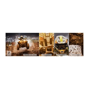 Campione di Fotomurale Premium Canvas - No risk no fun - Sport, Quadruplo, Gara - 100x30 cm