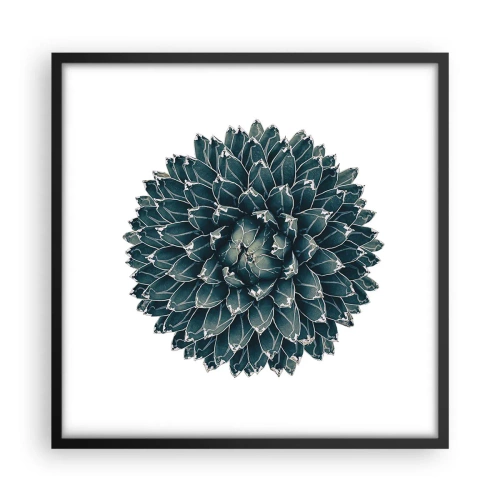 Poster in cornice nera - La stella del deserto - 50x50 cm