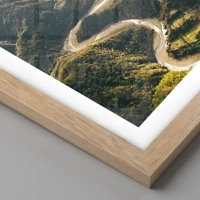 Rovere chiaro
