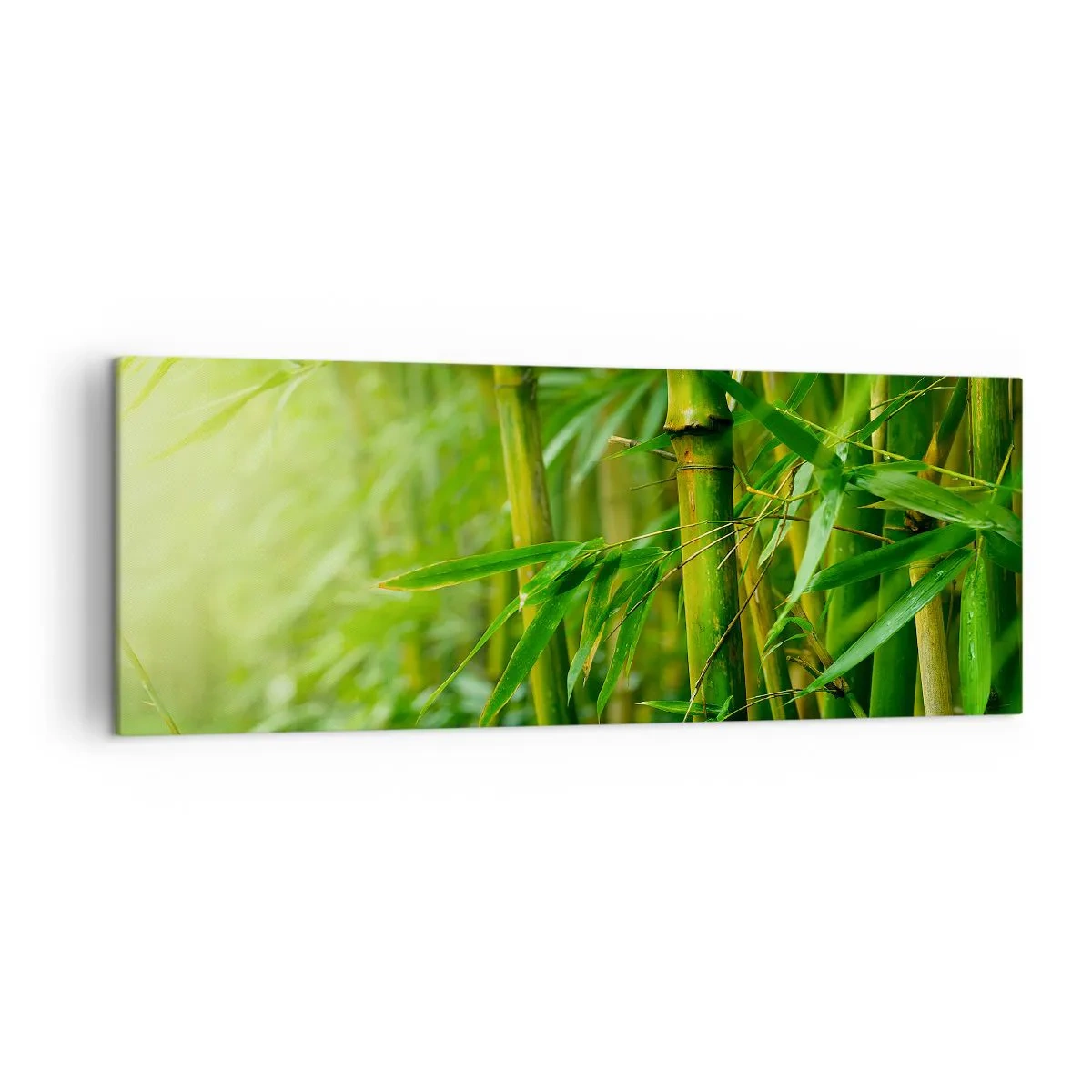 Quadro su tela - Stampe su Tela - Foresta di bambù verde in luce soffusa - 140x50cm - Conoscere il verde in sé - Decorazione murale moderna per soggiorno e camera da letto ARTTOR