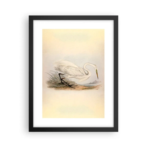 Poster in cornice nera - La signora nel canneto - 30x40 cm