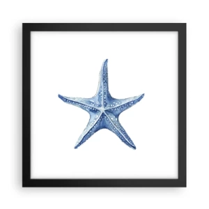 Poster in cornice nera - Stella marina - 30x30 cm