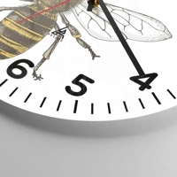 Quadrante con numeri