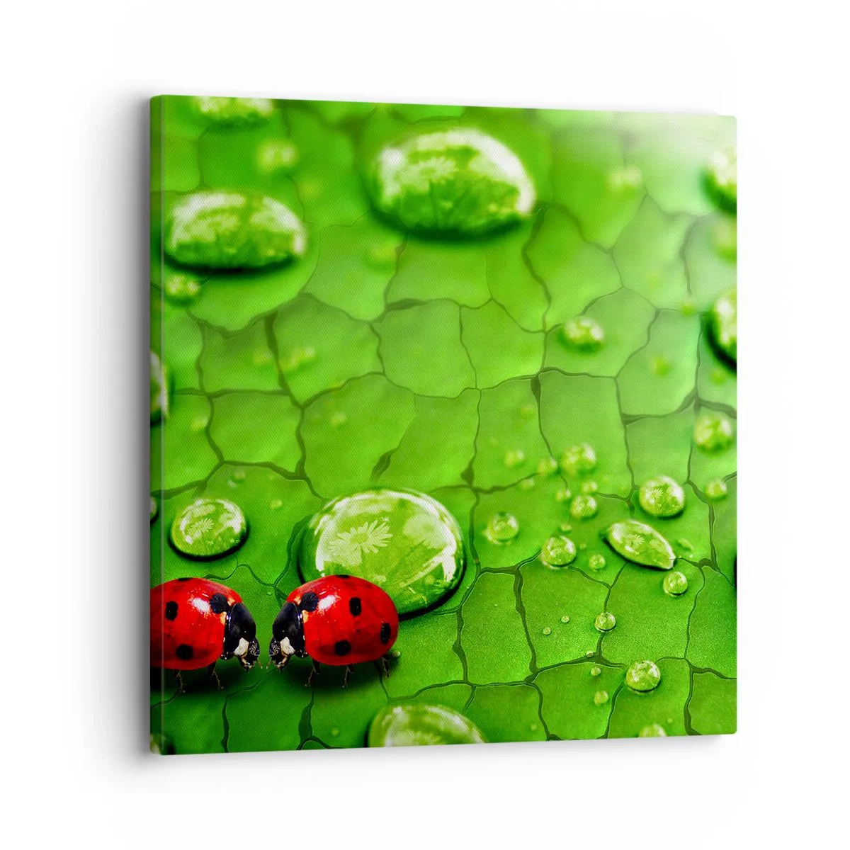 Quadro su tela - Stampe su Tela - Incontro in verde - 30x30 cm