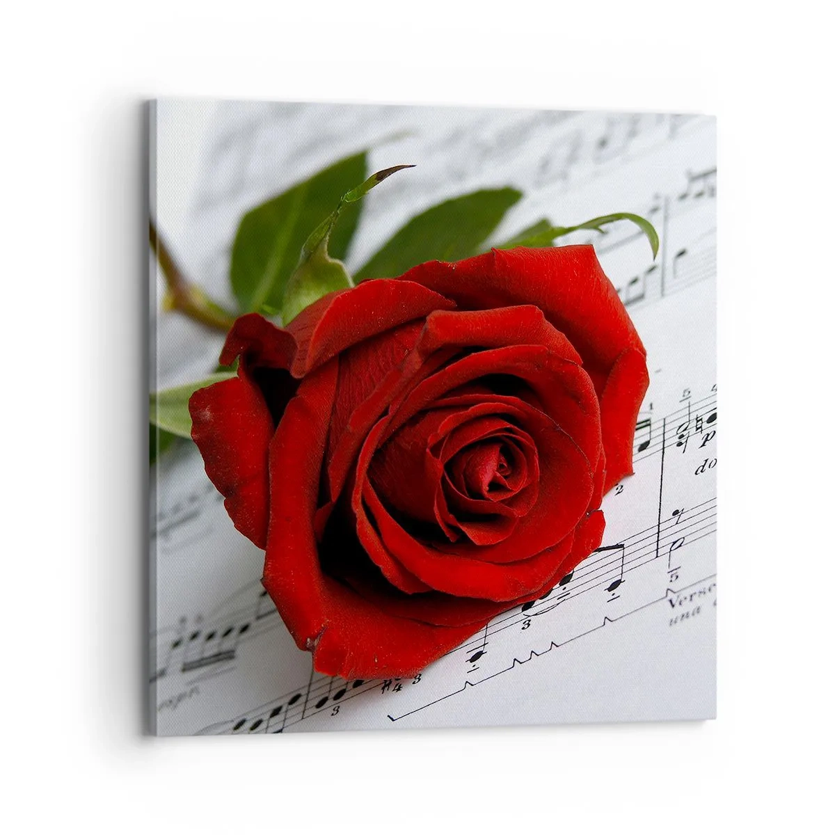 Quadro su tela - Stampe su Tela - La musica dei sentimenti in scarlatto - 70x70 cm