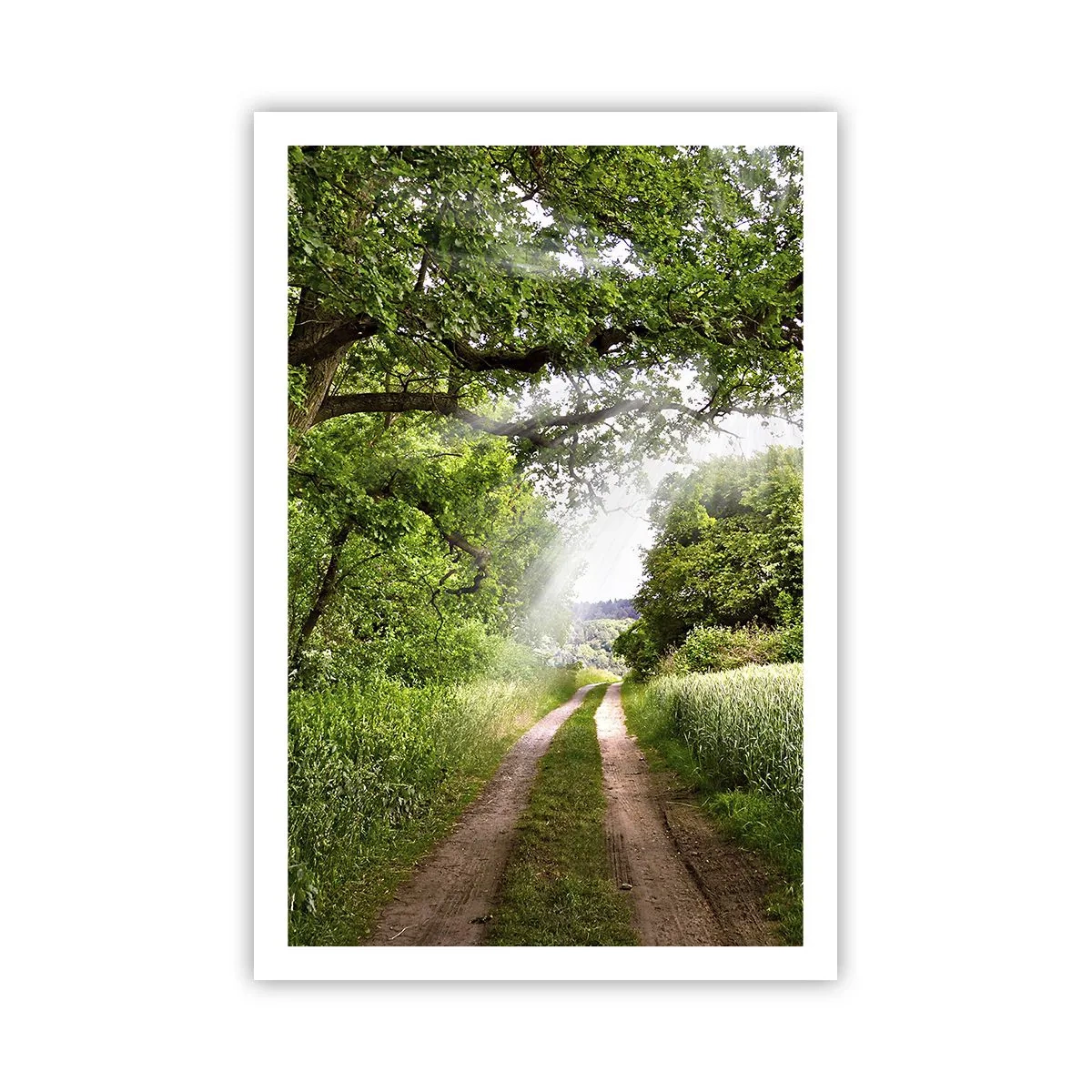 Poster - Et in Arcadia ego - 61x91 cm