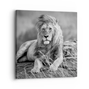 Quadro su tela - Stampe su Tela - La siesta del re - 30x30 cm