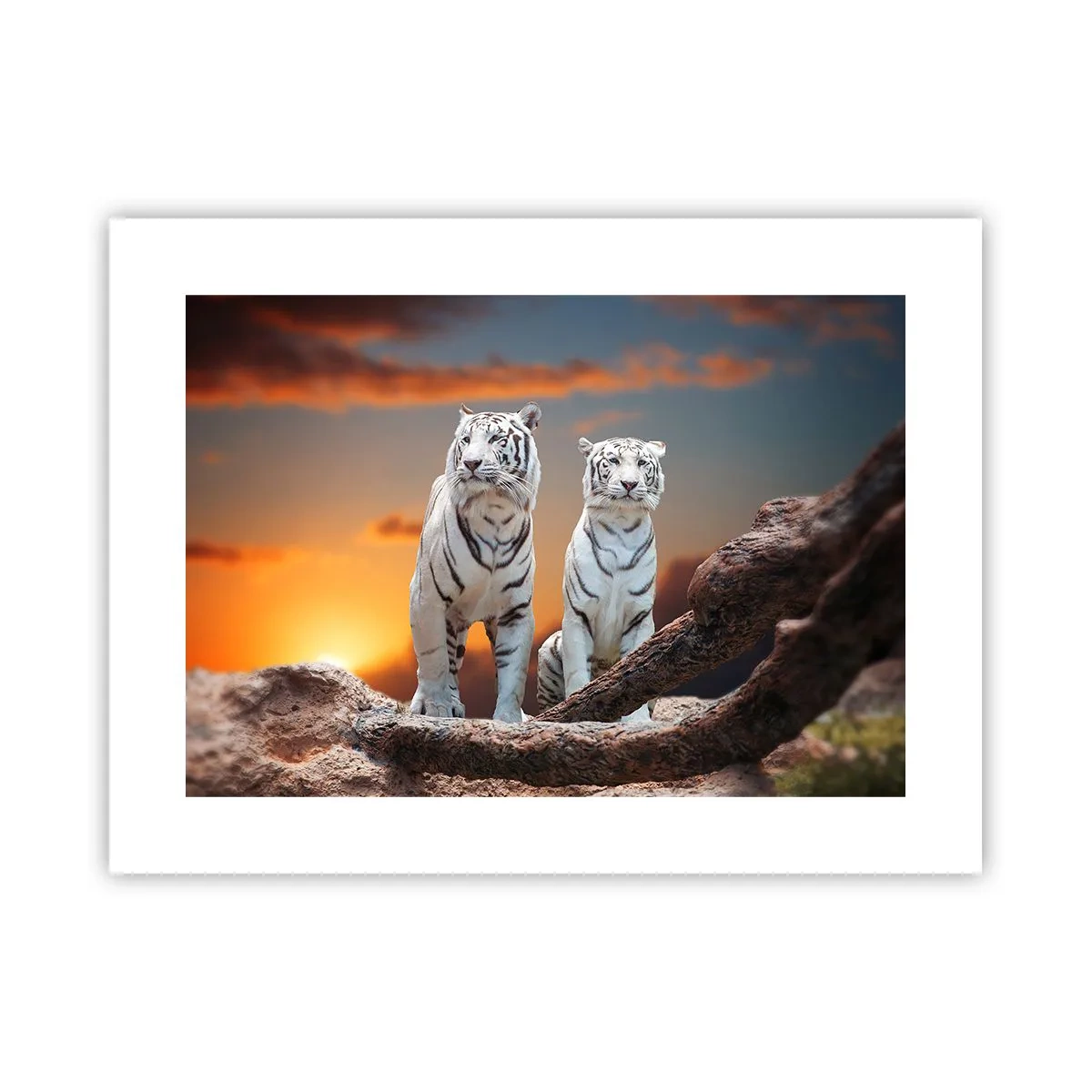 Poster - Proprio come a Narnia - 40x30 cm