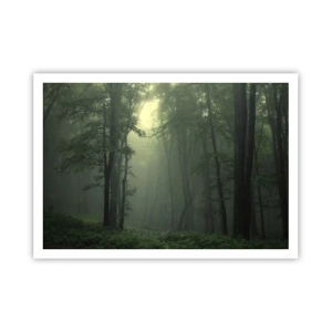 Poster - Una foresta verde al mattino avvolta in una delicata nebbia - 100x70cm - Prima che si svegli - Decorazione murale moderna per soggiorno e camera da letto ARTTOR