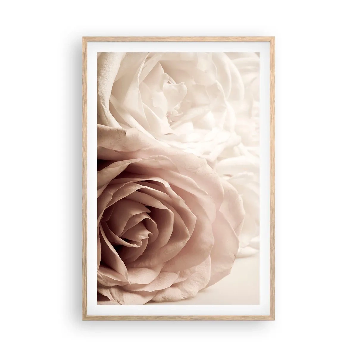 Poster in cornice rovere chiaro - Nel cuore della rosa - 61x91 cm