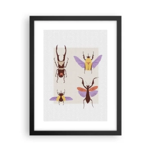 Poster in cornice nera - Il mondo degli insetti - 30x40 cm
