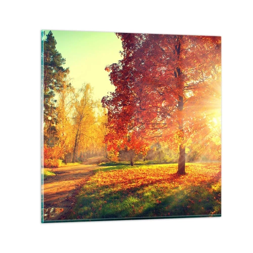 Quadro su vetro - Rosso è bello - 30x30 cm