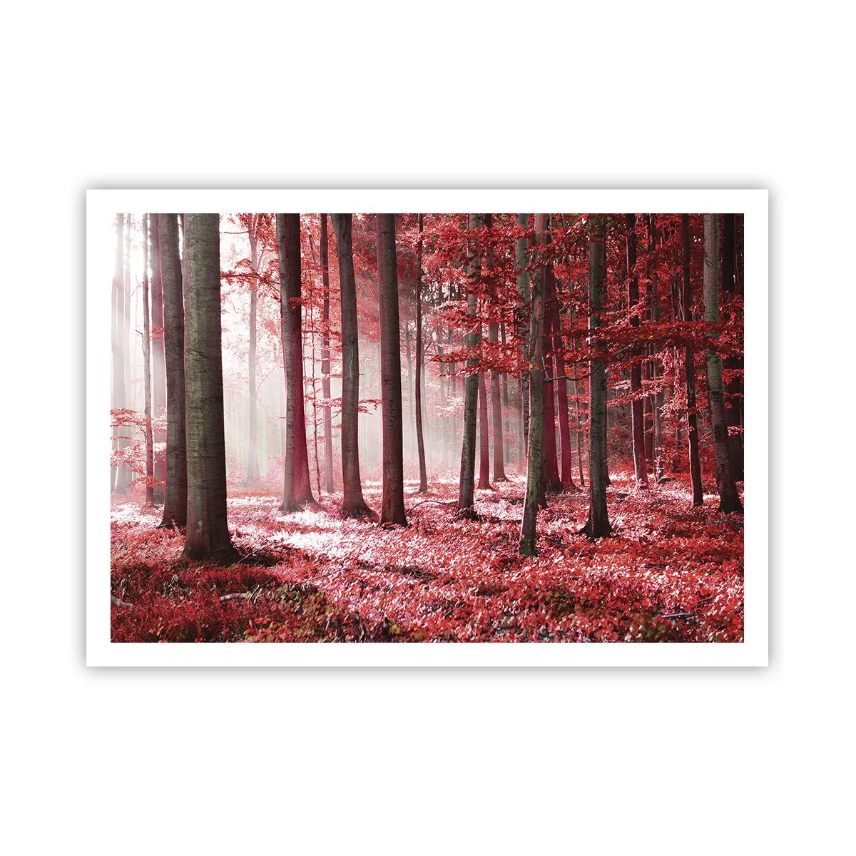 Poster - Una splendida foresta dalle tonalità rosse con raggi di luce che penetrano attraverso gli alberi - 100x70cm - Anche rosso è bello - Decorazione murale moderna per soggiorno e camera da letto ARTTOR