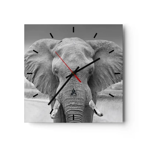 Orologio da parete - Orologio in Vetro - Ritratto di un elefante in bianco e nero - 30x30cm - Benvenuti nel mio mondo - Decorazione murale moderna per soggiorno e camera da letto ARTTOR