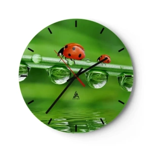 Orologio da parete - Orologio in Vetro - Coccinelle su un filo d'erba con gocce d'acqua - 30x30cm - In cammino per tutta l'estate - Decorazione murale moderna per soggiorno, cucina e camera da letto ARTTOR