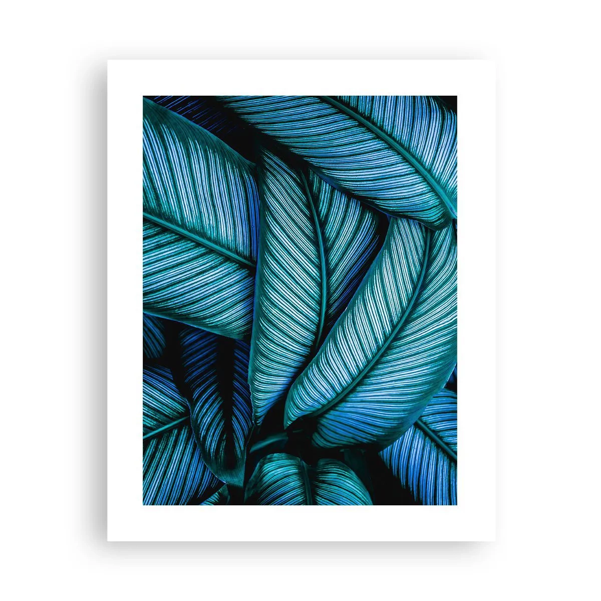 Poster - Le linee della vita - 40x50 cm