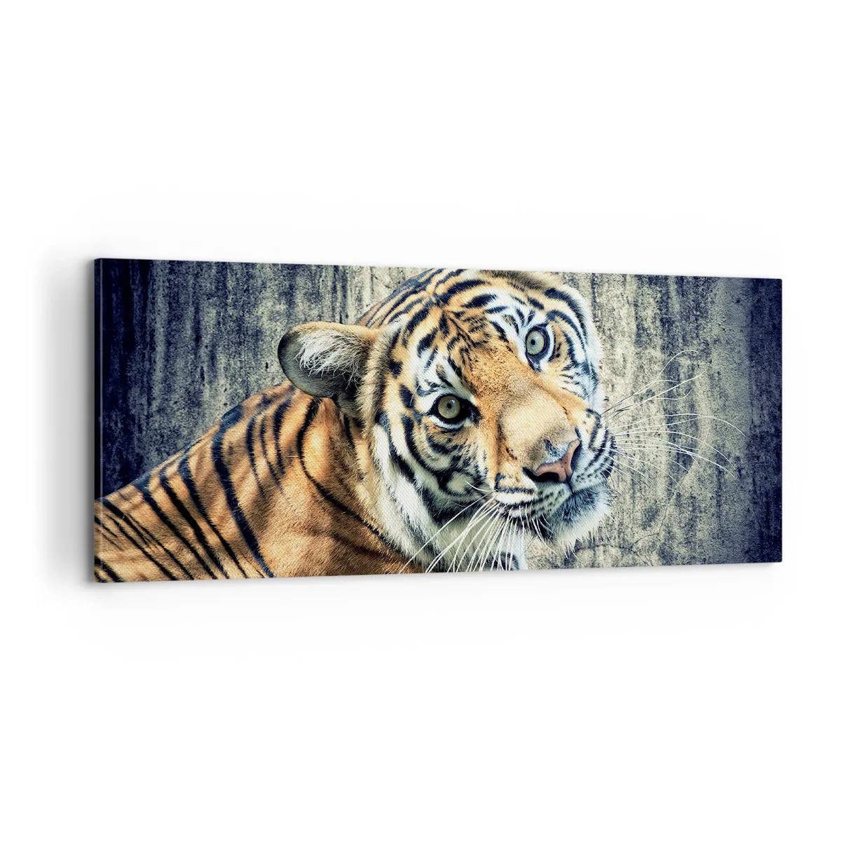 Quadro su tela - Stampe su Tela - Ritratto nei flussi di luce - 100x40 cm