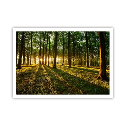 Poster - Il sole al tramonto nella foresta decidua - 100x70cm - La foto di ogni primavera - Decorazione murale moderna per soggiorno e camera da letto ARTTOR