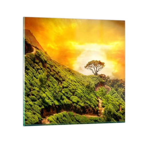 Quadro su vetro - Sentiero tortuoso, pendio verde - 70x70 cm