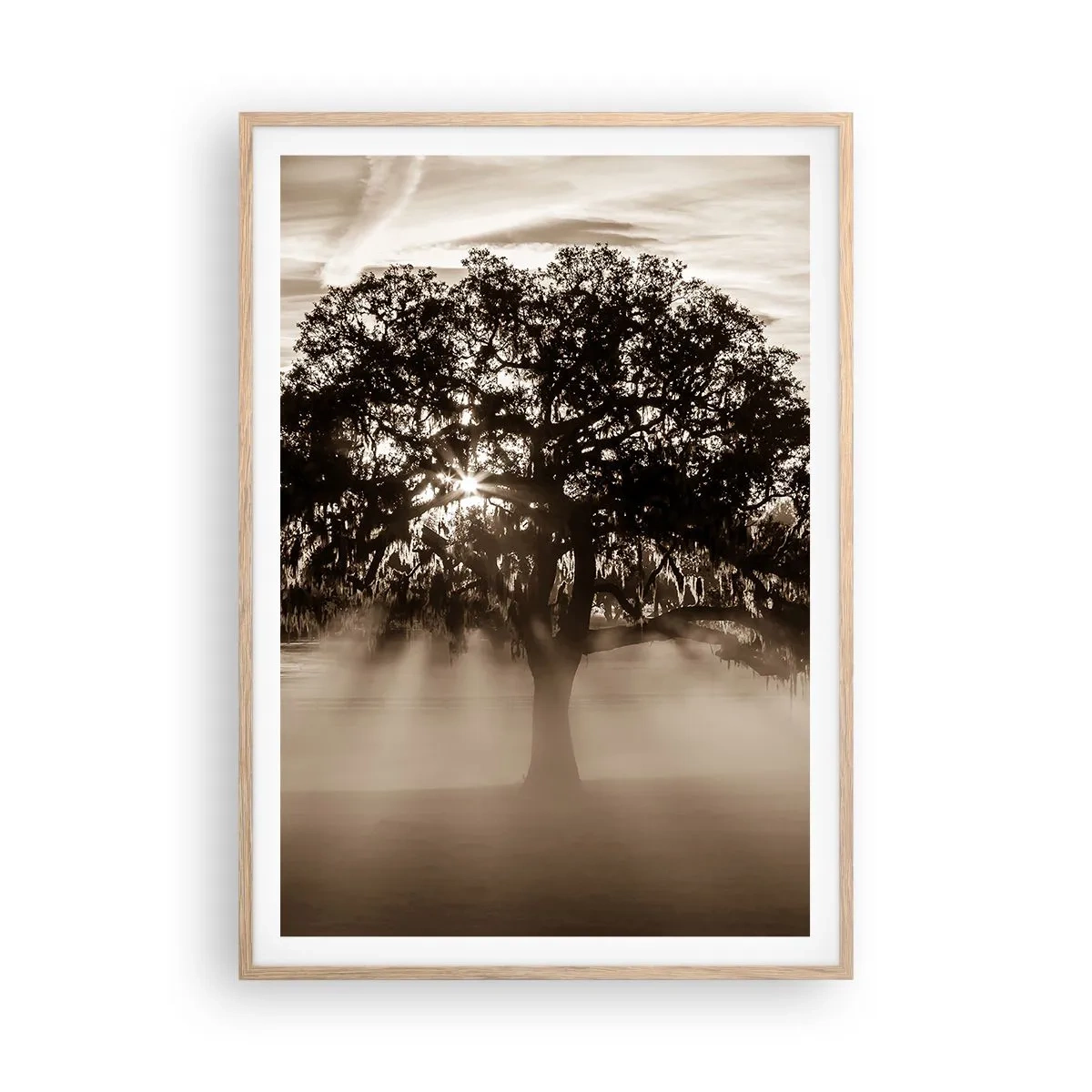 Poster in cornice rovere chiaro - L'albero delle sole buone notizie - 70x100 cm