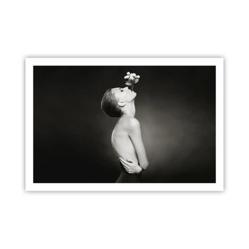 Poster - Eleganza eccentrica - 91x61 cm