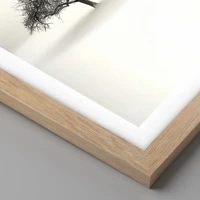 Rovere chiaro
