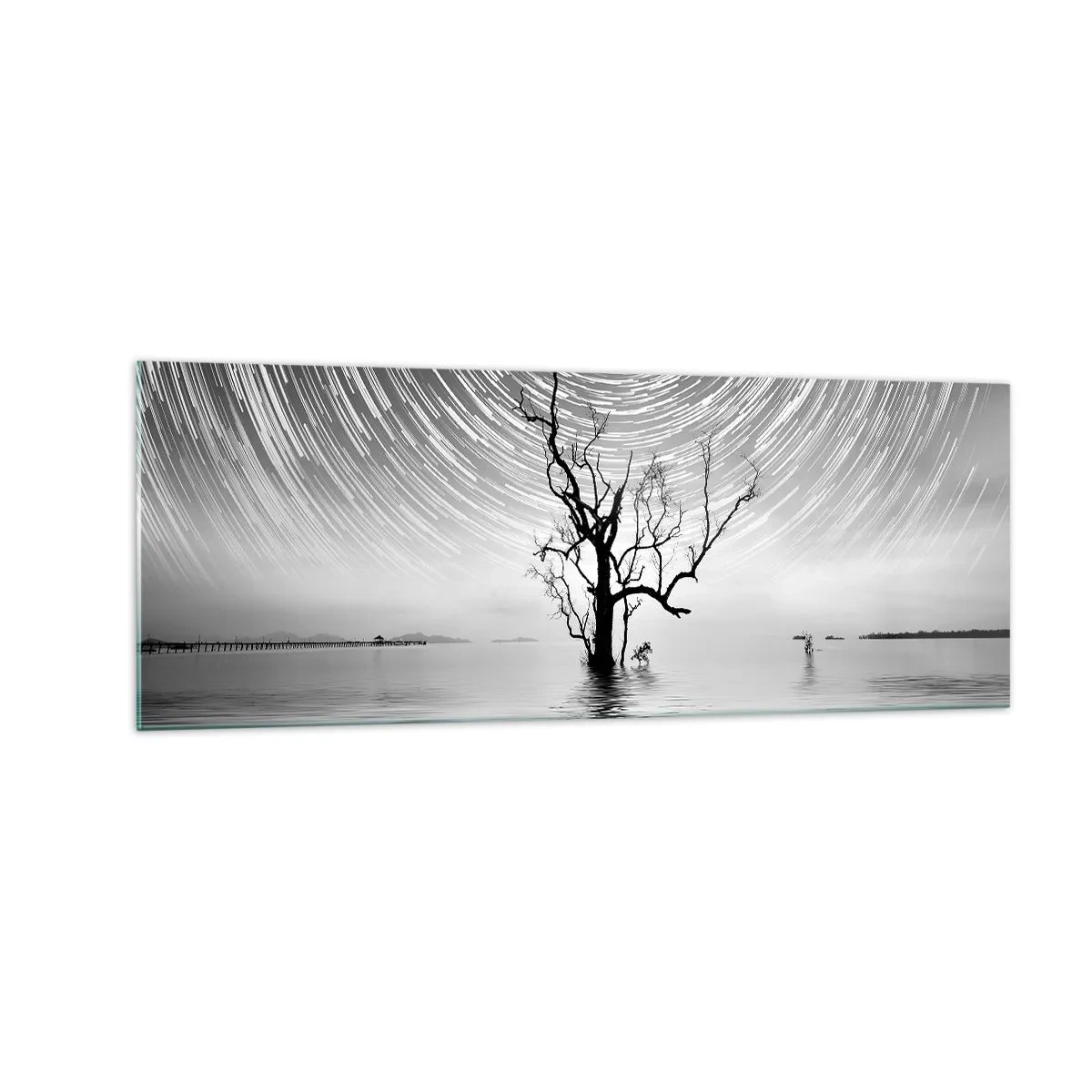 Quadro su vetro - Un albero nell'acqua sotto un cielo notturno con stelle in movimento - 140x50cm - Sinfonia della natura - Decorazione murale moderna per soggiorno e camera da letto ARTTOR
