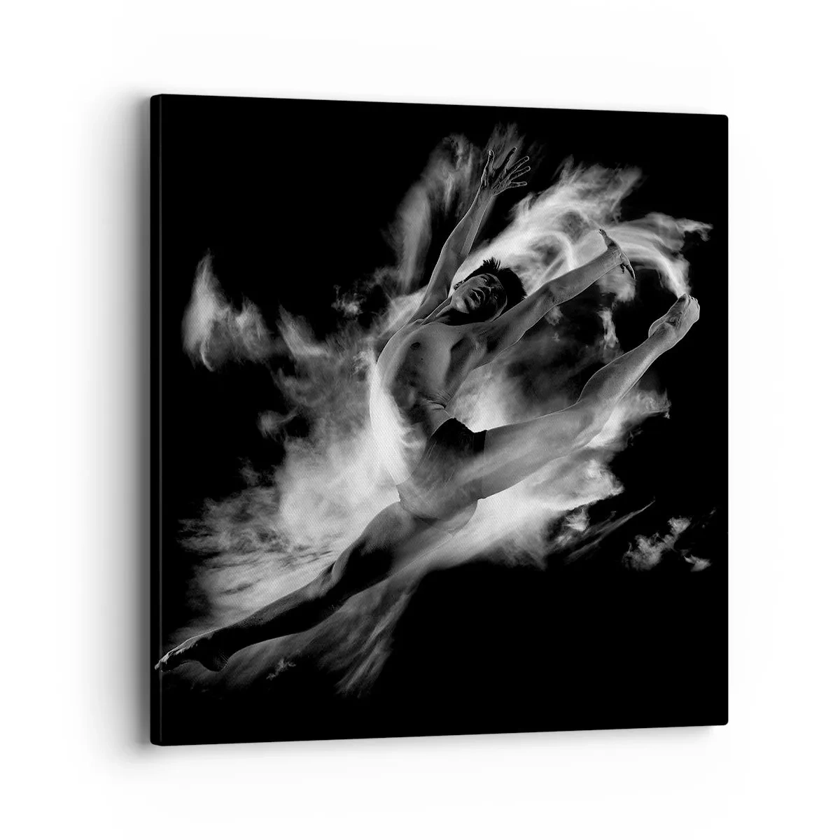 Quadro su tela - Stampe su Tela - Fermo in volo - 40x40 cm