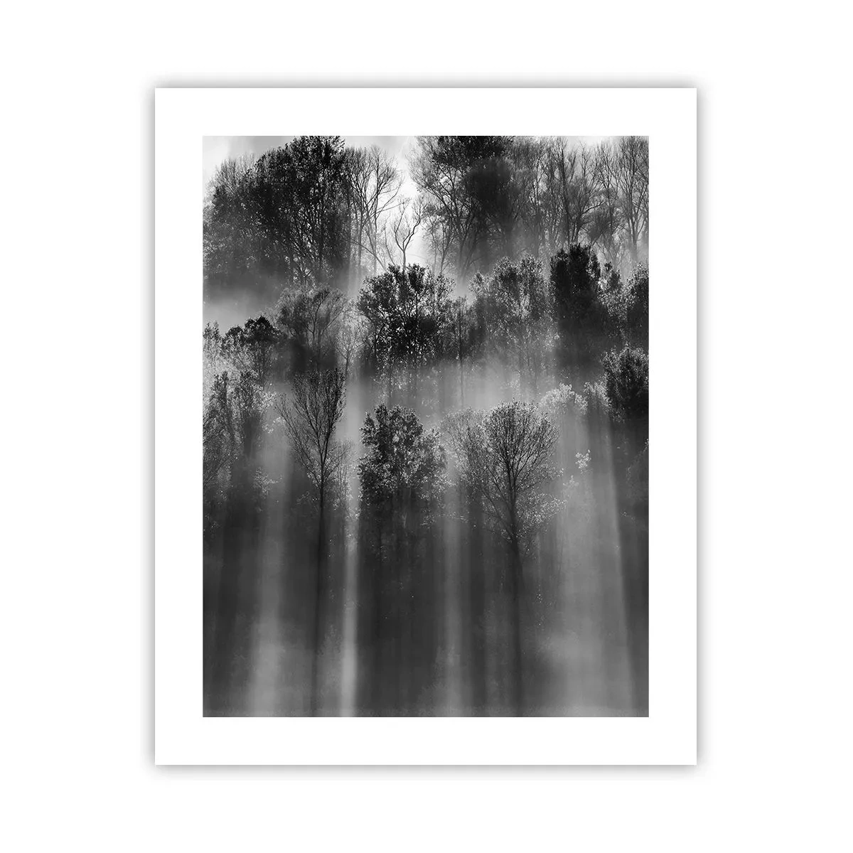 Poster - Nei getti di luce - 40x50 cm