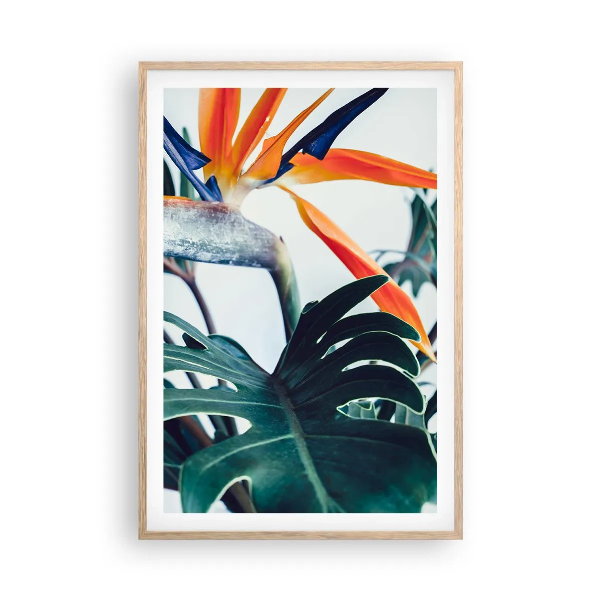 Poster in cornice rovere chiaro - Pianta uccello - 61x91 cm