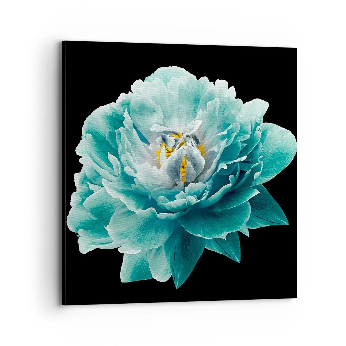 Quadro su tela - Stampe su Tela - Petali blu e oro - 70x70 cm