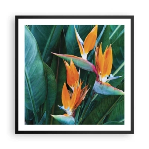 Poster in cornice nera - È un fiore o un uccello? - 60x60 cm