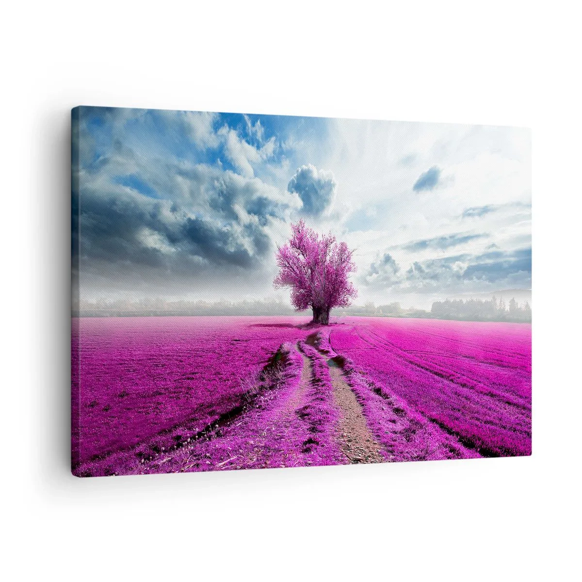 Quadro su tela - Stampe su Tela - Un albero solitario in un campo in una tonalità di rosa intenso - 70x50cm - Brughiera selvatica - Decorazione murale moderna per soggiorno e camera da letto ARTTOR