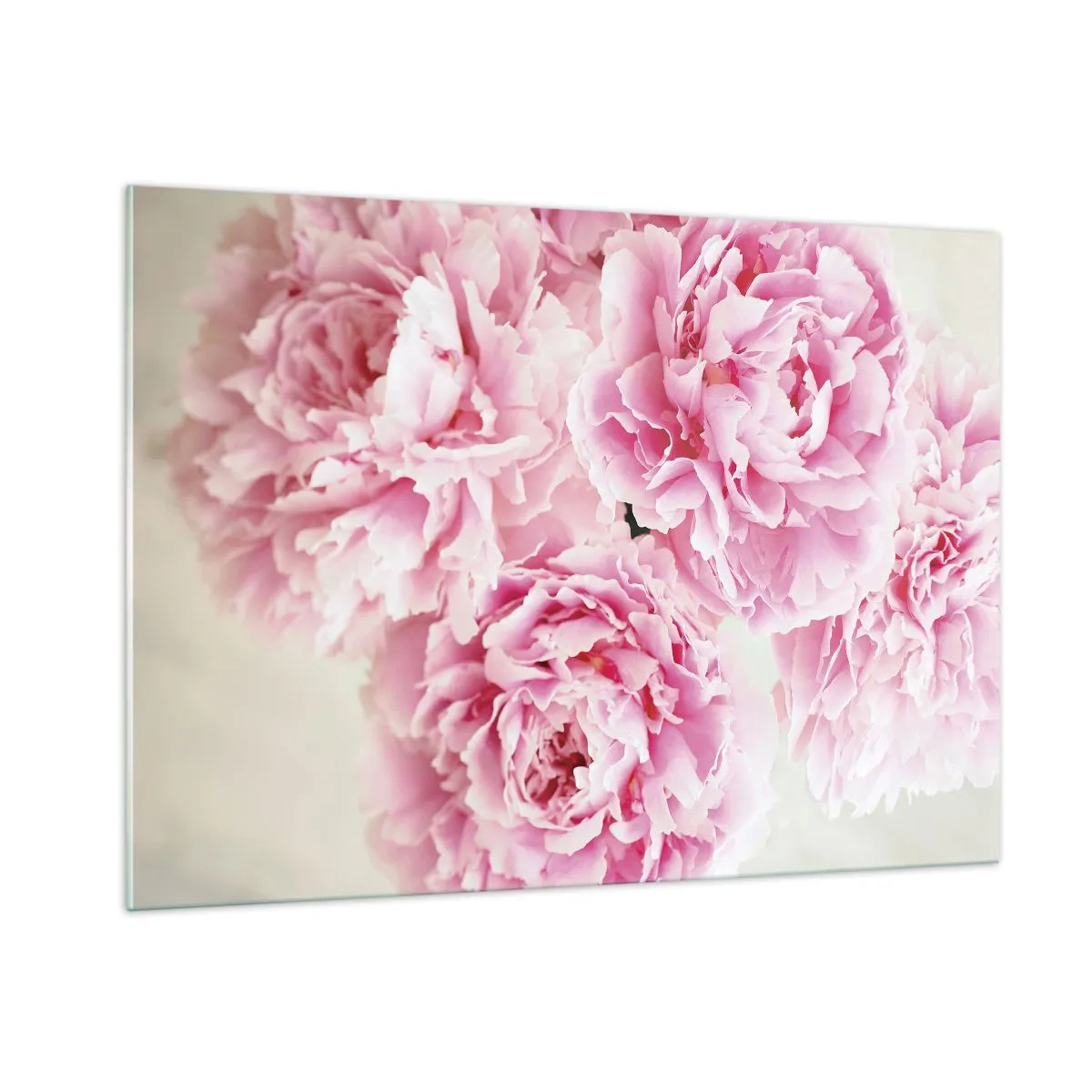 Quadro su vetro - Un bouquet di peonie rosa intenso su uno sfondo chiaro - 100x70cm - Nel fasto rosa - Decorazione murale moderna per soggiorno e camera da letto ARTTOR