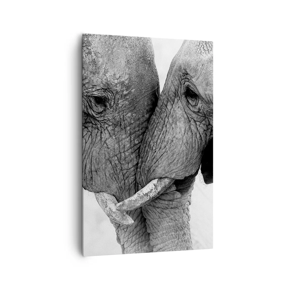 Quadro su tela - Stampe su Tela - Due elefanti in un gesto tenero su uno sfondo monocromo - 80x120cm - Dichiarazione sincera - Decorazione murale moderna per soggiorno e camera da letto ARTTOR