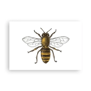 Poster - Bella e buona - 91x61 cm