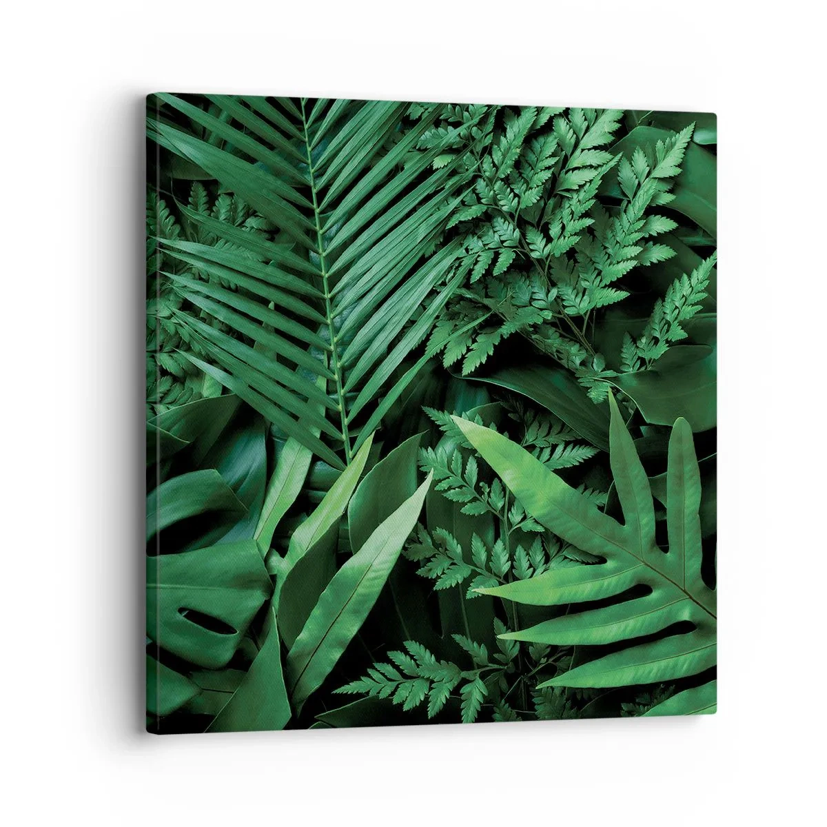 Quadro su tela - Stampe su Tela - Avvolti nel verde - 30x30 cm