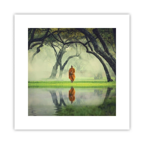 Poster - In cammino verso l'illuminazione - 30x30 cm