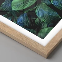 Rovere chiaro