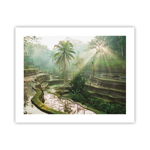 Poster - Crescere al sole - 50x40 cm