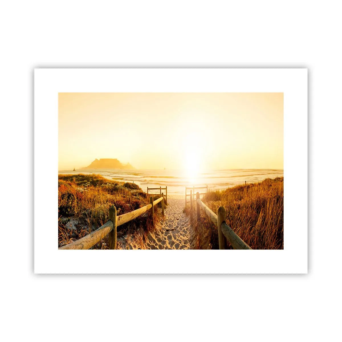 Poster - Attraverso la duna, verso il sole - 40x30 cm