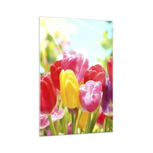 Quadro su vetro - Tulipani colorati in piena fioritura su uno sfondo primaverile - 70x100cm - Eccoci, i colori di maggio! - Decorazione murale moderna per soggiorno e camera da letto ARTTOR